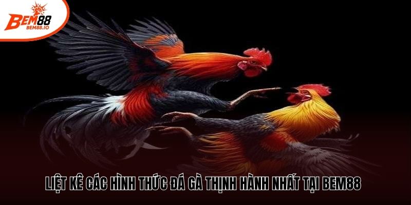 Liệt kê các hình thức đá gà thịnh hành nhất tại Bem88